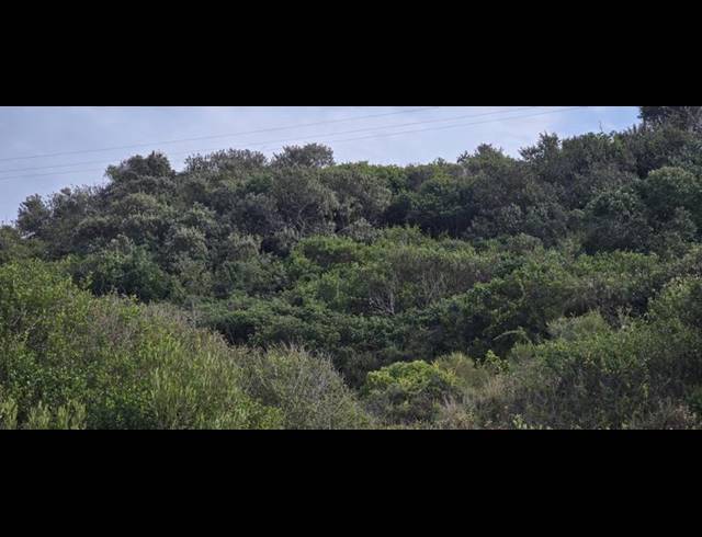 LAND FOR SALE IN BOTHASTRAND